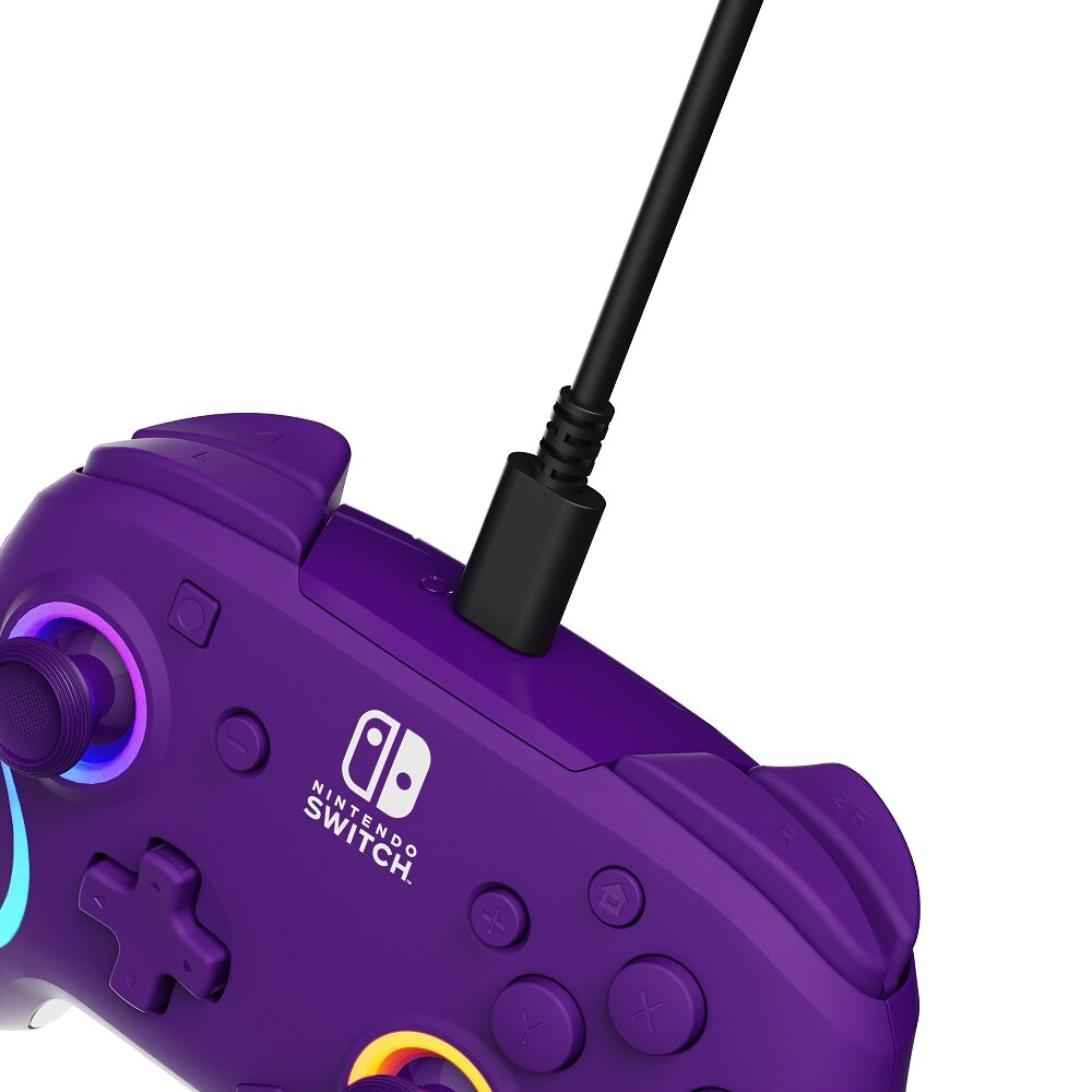 Nintendo switch sales afterglow wired controller